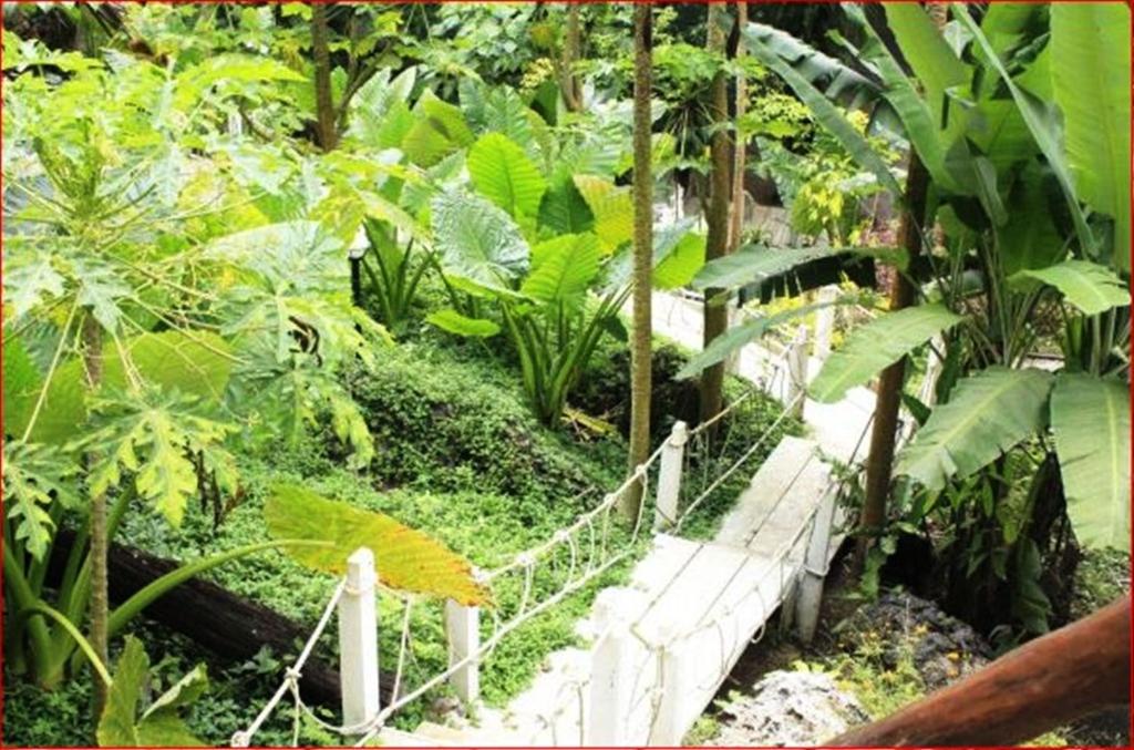 Rai Preda Homestay อ่าวลึก ภายนอก รูปภาพ
